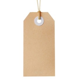 Avery Peach Swing Gift Tags with String, 96 x 48 mm, 24 Tags (13204)