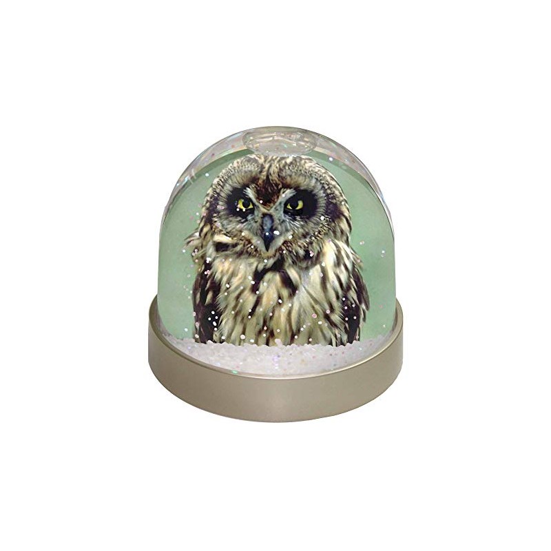 Cute Tawny Owl Photo Snow Globe Waterball - Advanta Group®