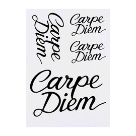 4 x 'Carpe Diem' Temporary Tattoos - Water Resistant, Skin-Safe, Non-Toxic Transfers, Mixed Sizes (TO00081170)