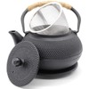 Sharemee teapot cast Asia Japan style tea strainer tea pot