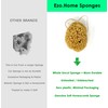 XL 18CM Sea Sponge Unbleached Honeycomb Natural Seasponge for Bath