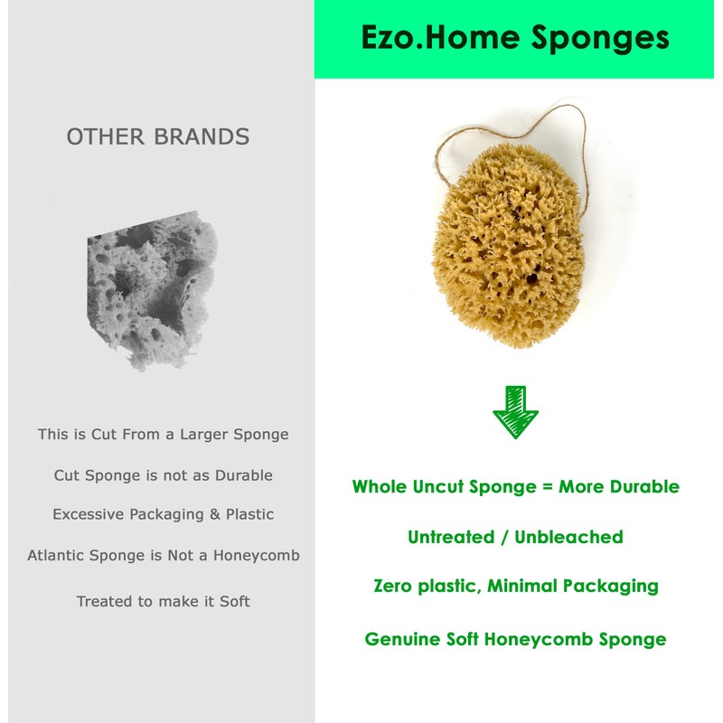 XL 18CM Sea Sponge Unbleached Honeycomb Natural Seasponge for Bath