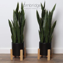 Bornbridge Artificial Snake Plant with Mid Century Plant Stand - Sansevieria Plant in Modern Planter - Artificial Plants with Indoor Plant Stand - Faux House Plants (Large / 2 Pack)