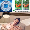OLYMSTAR - Kit de luz LED de repuesto para ventilador