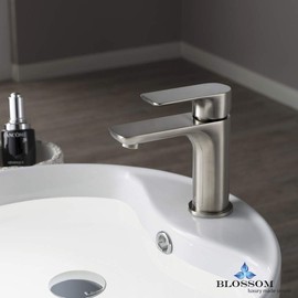 Blossom Brass Single Handle Bathroom Vanity Sink Faucet, Lavatory Sink Faucet with Water Hose Brush Nickel F01 120 02