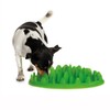 Company of Animals GREEN Slow Interactive Feeder for Dogs, Size