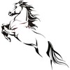 Vinyl Wall Decal Horse Riding Stallion Wild Animal Mustang Stickers