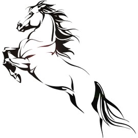 Vinyl Wall Decal Horse Riding Stallion Wild Animal Mustang Stickers Mural Large Decor (g7563) Black