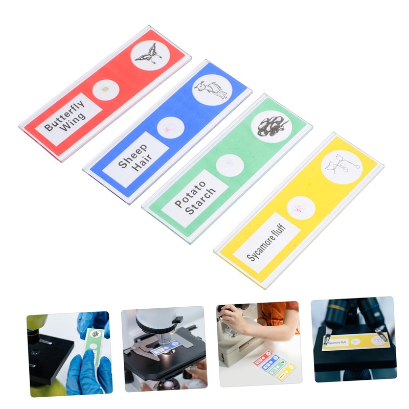 KOMBIUDA 12 pcs Prepared Microscope Slides for Educational Microbiology Specimens