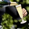 lbxtswpl Plastic Champagne Glasses, Pack of 30 Champagne Glasses, 150