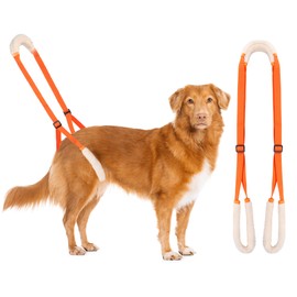 Lollanda Walking Aid for Dogs, Rear Carrying Aid for Dogs, Dog Harness for Rear Legs, Walking Aid Dogs to Support Sick Dogs, Elderly Dog, Promotes Dog Mobility (Orange)