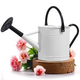 Plexon 1 Gallon Metal Watering Can Outdoor, Flower Plant Gardening Garden Large Watering Can Pot, Black Galvanized Steel Handles and Removable Spray Spout, White