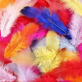 300pcs Mixed Color Feathers Bulk 3-5 Inch Natural Rooster Feathers for Dream Catchers DIY Kids Crafts Party Jewelry DecorationColor: navy Blue, Feather Size (L x W): 3-5 Inch/8-10CM