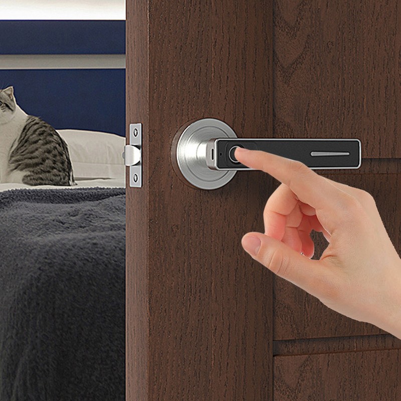Smart Door Handle Fingerprint with 2 Key Fast Recognition Static