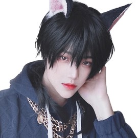 Hawkko Men's Short Wig, Full Wig, Long Straight Wig, Men's Wig, Black, Men's Wolf Cut, Wig, Men's, Harajuku, Handsome, Men's, Natural, Small Face, Heat Resistant, Popular, Fashion, Imechan, Cosplay,