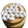Varillas magnéticas para agitar mezclador PTFE (6 x 10 mm,
