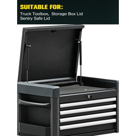 HelloAuto 10 inch 40Lb/178N Gas Struts C16-09322 Shocks Lift Support for Tool Box Storage Lid Door Truck Cap Door Topper Rear Window, Set of 2