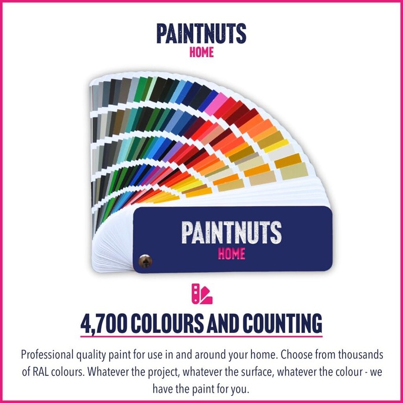 PaintNuts UPVC Window & Door Paint - RAL-7016 - ANTHRACITE