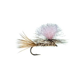 Dry flies for Trout by Colorado Fly Supply - Guide's Choice Parachute - Parachute Dry Fly - Premium Fishing Flies and Lures for Fishermen - Hook Size 16