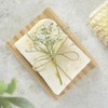 100PCS Dried Pressed Flowers,Natural Baby Breath Dried,Dry Flowers