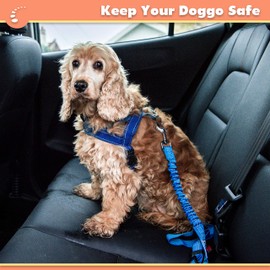 Zenify Dog Car Seat Belt Seatbelt Lead Puppy Harness - Extendable Bungee Adjustable Carseat Clip Buckle Leash for Dogs Puppies Pets Travel - Pet Safe Collar Accessories Supplies Truck Safety (Green)