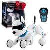 Top Race Rechargeable Robot Dog- Interactive Smart Robo Dog for