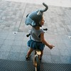 COOLCASC ELEPHANT Multisport Helmet Cover