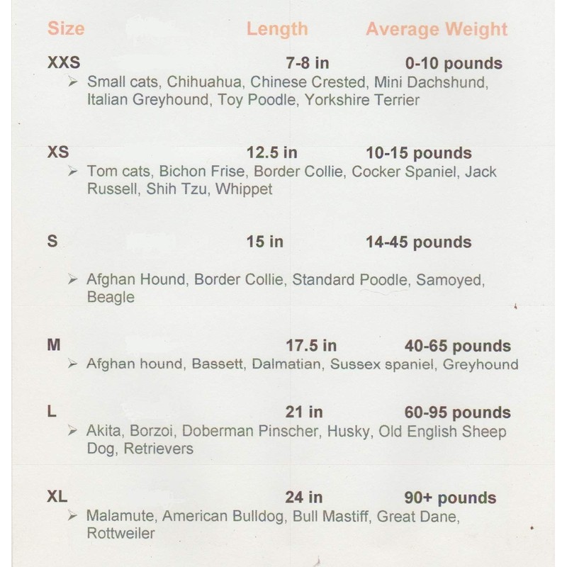 UT Long-horns Dog Bandana (Medium)