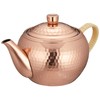 Food comfort studio [Japanese] late 急須 (with strainer) cb546s