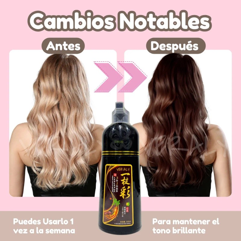 3 Pz Shampoo Tinte Instantáneo Cubre Canas Natural Jengibre