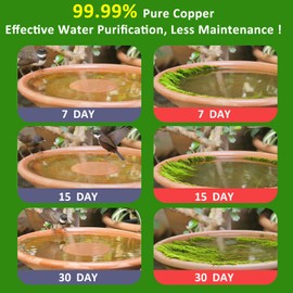 AWLGAK Bird Bath Copper Disk, 0.6mm Thick 99.99% Pure Copper Purification Disk with Triple-Point Support, Safe Physical Cleaning for Outdoor Birdbaths, Bowls, All-Season Universal Fit (2, Copper)