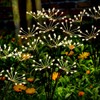 Solar Garden Lights 2 Pack Twinkling Solar Firework Lights with