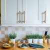 Asidrama 10 Pack 3.75 Inch(96mm) Champagne Bronze Cabinet Pulls Cabinet