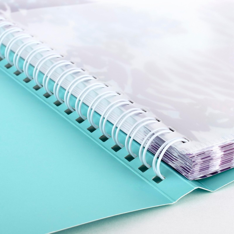 AT-A-GLANCE 2026 Appointment Book Planner, Weekly & Monthly, 8.5" x