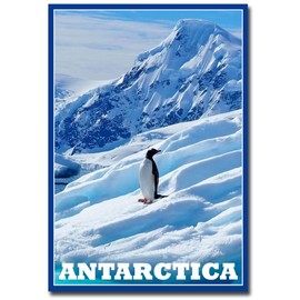 Penguin in Antarctica Earth's southernmost Travel Refrigerator Magnet Size 2.5" x 3.5"