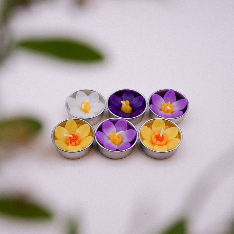 Assorted 8 Crocus Flower Scented Tealights with Neroli Essential Oil