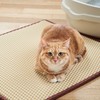 PETHROOM [Pesroom] Clean Up Mat (Large/Beige) Cat Litter Box Sand