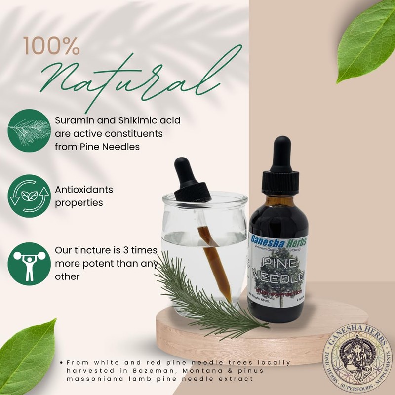 Ganesha Herbs Suramax and Pine Needle Complex Formula Tincture High