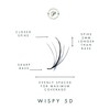 Wispy | 500 Premade Volume Fans for Wispy, Kim K,