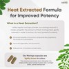 10,000MG Organic Moringa Capsules – 180 Count | Ultra Potent