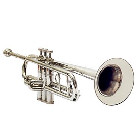 Queen Brass Bb Finish Brass Band Trumpets Beginner Chrome