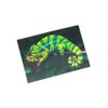 3D Postcard Chameleon Postcard Wobble Card Hologram Card Animal Lizard