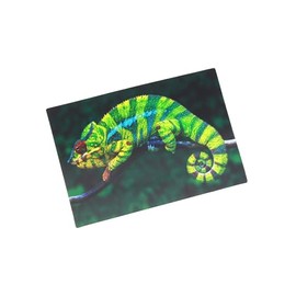 3D Postcard Chameleon Postcard Wobble Card Hologram Card Animal Lizard