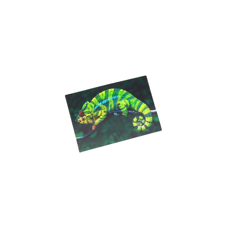 3D Postcard Chameleon Postcard Wobble Card Hologram Card Animal Lizard