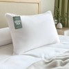 Hypoallergenic Bamboo Viscose Shell, Soft Standard/Queen Size Bed Pillow with