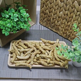 Chamdoori freeze-dried silkworm cold wind silkworm 300g (domestic) / 참두리 동결건조누에 냉풍 누에 300g (국내산)