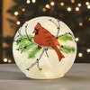 Haute Decor Cardinal Christmas Globe with Battery-Operated Timer and 15
