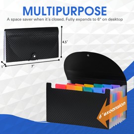 Cesil Accordion File Organizer, 13 Pocket Expanding File Folder, 10.2"x5.1" Small Receipt Organizer for Business, Coupon Document Holder, Portable Folder Organizer for Home Office School, Black