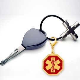 Oneress Octagonal Medical Alerts Keychain Gold Plated Stainless Steel Tag Engraved Epilepsy Keychains YA4677 (Gold Color-Epilepsy)