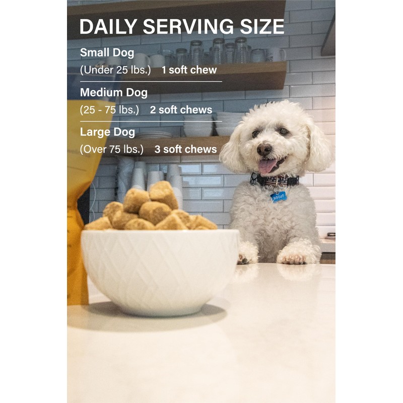 KVP Mendy Chews Multivitamin Treats for Dogs - Joint Support